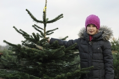 Weihnachtsbaeume_17