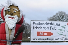 Weihnachtsbaeume_15