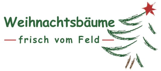 Weihnachtsbäume frisch vom Feld